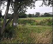 Riverside meadow