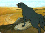 Fierce Dog