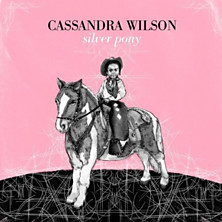 Review of Silver Pony 