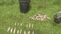 Fish kill