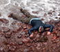 Archie, lying 'dead' at the foot of a cliff