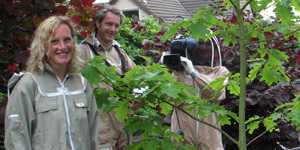 filming_beesuits.jpg