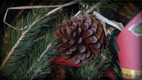 Hang tree ornaments