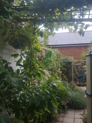 garden.jpg