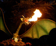 The Dundee Dragon