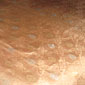 The material from her sari that she wore