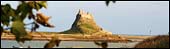 View of Holy Island. Photo: Will Dawes