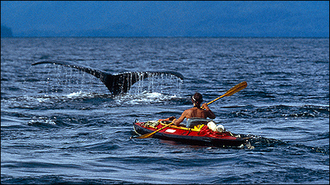 The Whale Man, Duncan Murrell, in his canoe