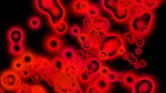 Blood cells Blood cells