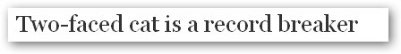 Guardian headline