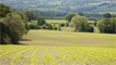 Rolling fields and hills