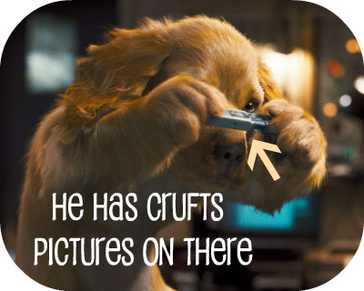 catsanddogs_moviesblog.jpg