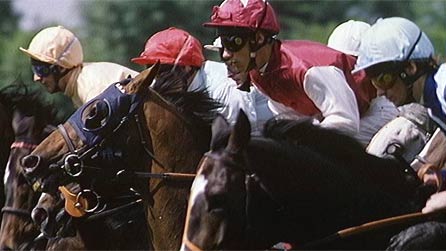 cheltenham_races.jpg