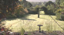 Helen Brown's garden