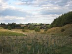 Central Scotland Forest (Pic courtesy of CSF Trust)
