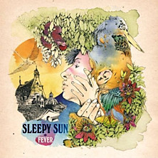 Review of Fever