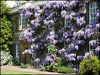 Christ's College
