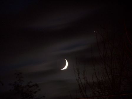 moon3.jpg