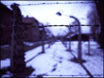Security fencing