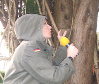 Woodpecker.jpg