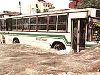 Victims of extreme weather
