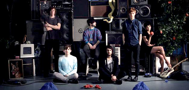 Foals