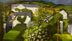 John Elwyn - Topiarist