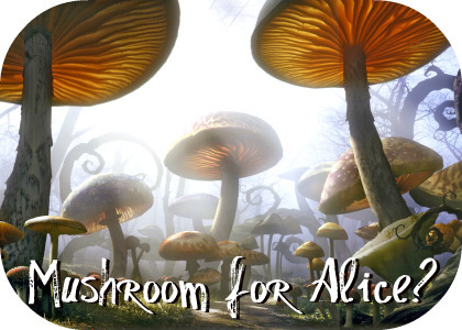 mushroom_concept1.jpg