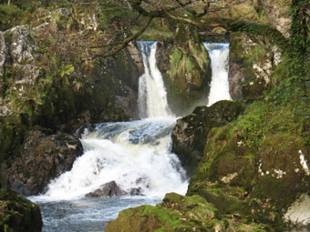 Coed Cymerau