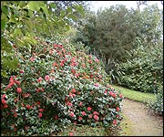 Pathway