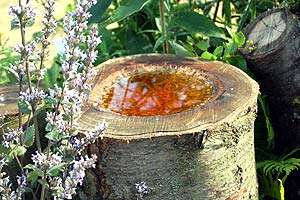 birdbath.jpg