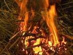 wood fire outdoors