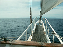 The Nelson's bow