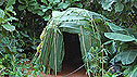 The Green&Black's Rainforest Garden