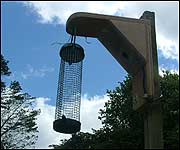 Bird feeder equipped with mini camera