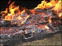 Flame Embers
