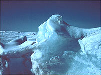 iceberg