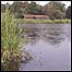 Leighton Moss and hide c/o RSPB