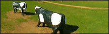 Concrete Cows in Milton Keynes
