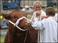 Oswestry Show 2006