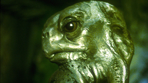 A Sea Devil