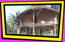 Hut