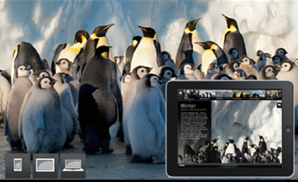 Frozen Planet companion experience