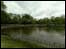A view of the lake