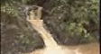 penan's video screenshot thumbnail