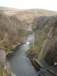 A river