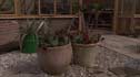 two easter planters
