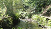 Bishopston Valley