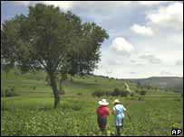 Agricultores