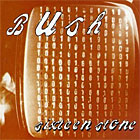 Sixteen Stone cover